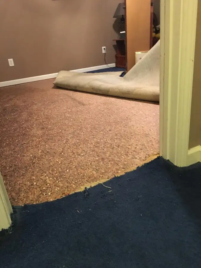 Carpet pad removal revealing water damage during Drying & Dehumidification in North Whitehall